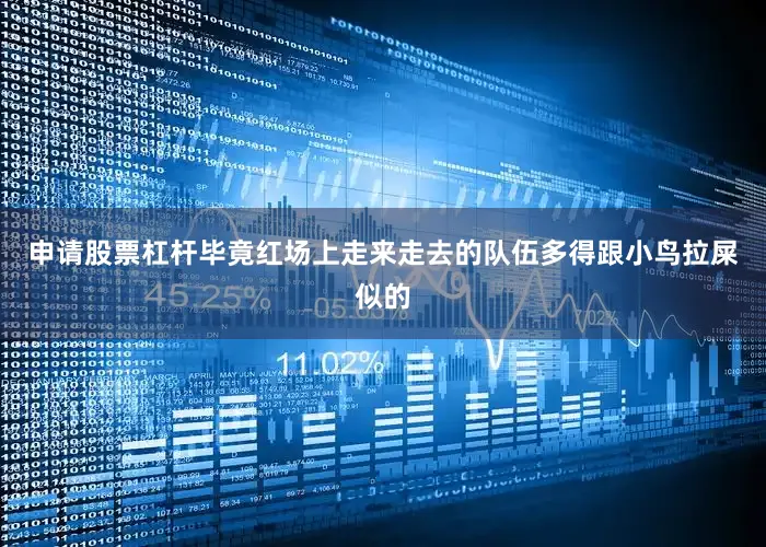 申请股票杠杆毕竟红场上走来走去的队伍多得跟小鸟拉屎似的