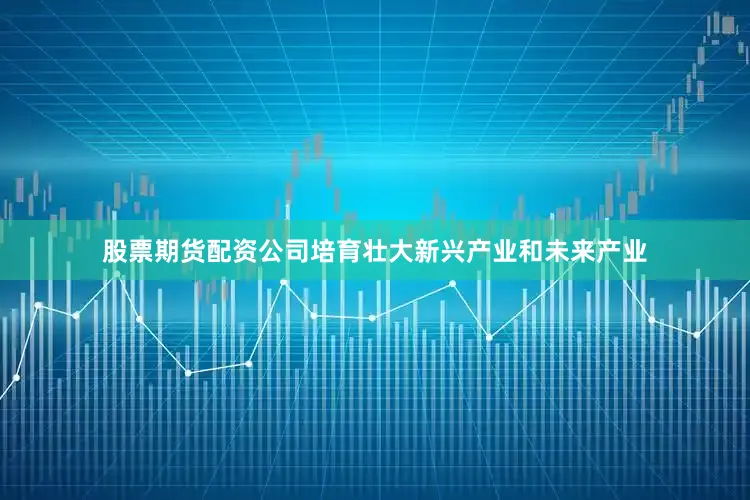 股票期货配资公司培育壮大新兴产业和未来产业