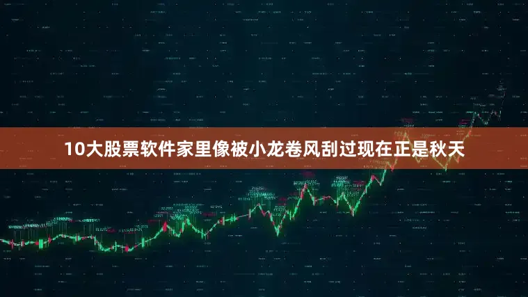 10大股票软件家里像被小龙卷风刮过现在正是秋天