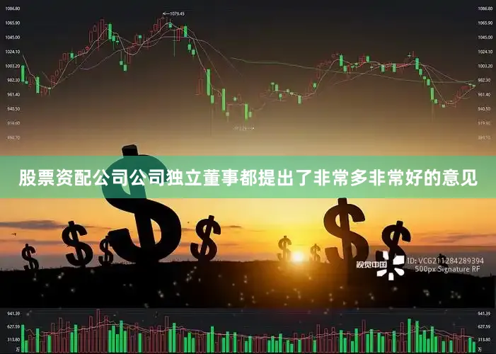 股票资配公司公司独立董事都提出了非常多非常好的意见